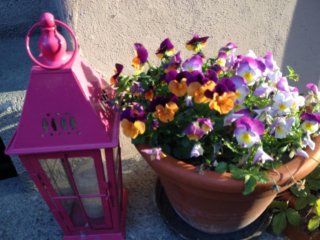 B&B La Vie En Rose Basileia Exterior foto